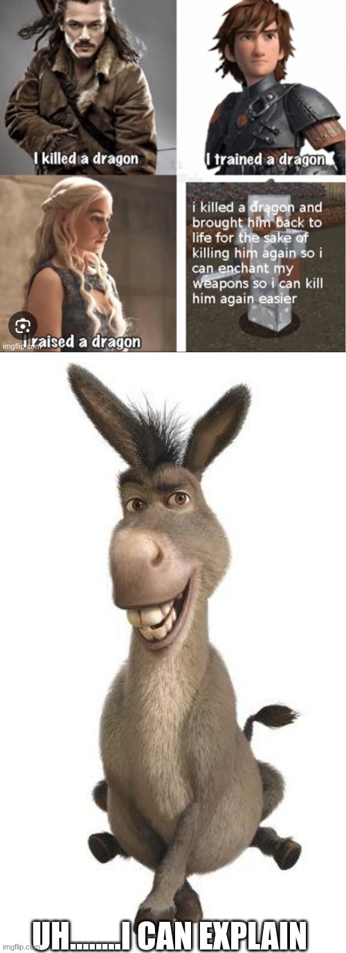 UH........I CAN EXPLAIN | image tagged in donkey from shrek | made w/ Imgflip meme maker