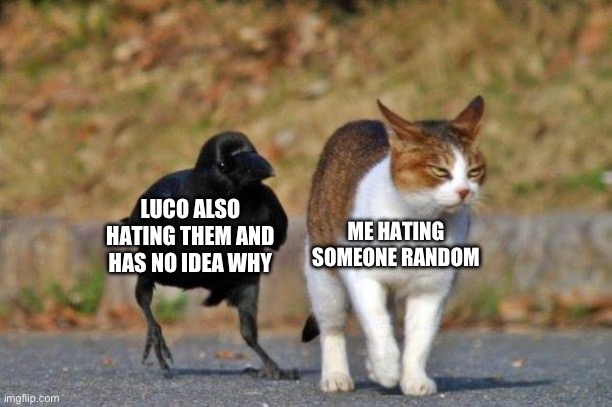 Accurate bc I’m a cat | ME HATING SOMEONE RANDOM; LUCO ALSO HATING THEM AND HAS NO IDEA WHY | image tagged in raven following cat | made w/ Imgflip meme maker