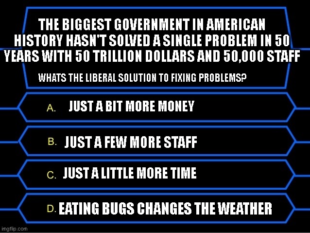 Who Wants To Be A Millionaire Question | THE BIGGEST GOVERNMENT IN AMERICAN HISTORY HASN'T SOLVED A SINGLE PROBLEM IN 50 YEARS WITH 50 TRILLION DOLLARS AND 50,000 STAFF; WHATS THE LIBERAL SOLUTION TO FIXING PROBLEMS? JUST A BIT MORE MONEY; JUST A FEW MORE STAFF; JUST A LITTLE MORE TIME; EATING BUGS CHANGES THE WEATHER | image tagged in who wants to be a millionaire question | made w/ Imgflip meme maker