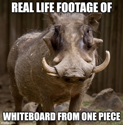 I found whitebeard irl ??? | REAL LIFE FOOTAGE OF; WHITEBOARD FROM ONE PIECE | image tagged in warthog,one piece | made w/ Imgflip meme maker