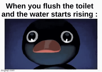Oh no | When you flush the toilet and the water starts rising : | image tagged in gifs,memes,funny,relatable,toilet,front page plz | made w/ Imgflip video-to-gif maker