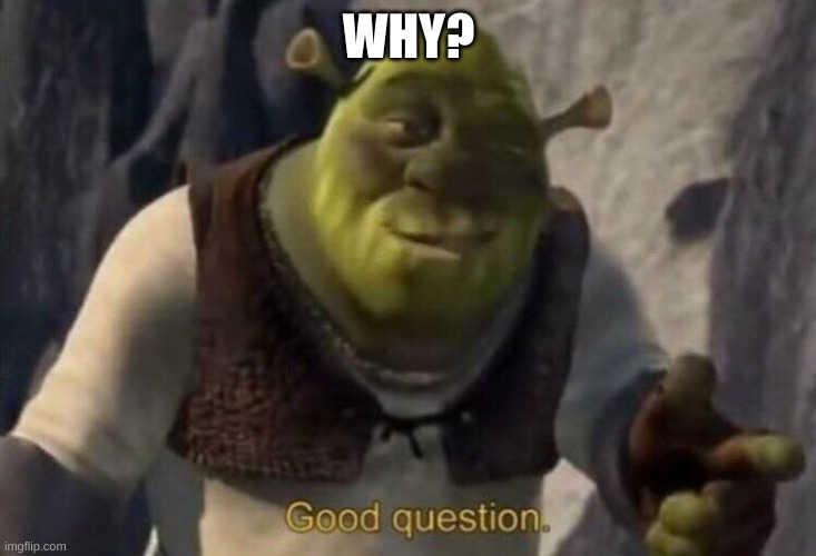Shrek good question | WHY? | image tagged in shrek good question | made w/ Imgflip meme maker