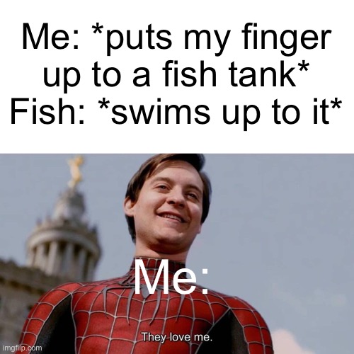 Meme #1,418 | Me: *puts my finger up to a fish tank*
Fish: *swims up to it*; Me: | image tagged in they love me,fish,love,relatable,memes,funny | made w/ Imgflip meme maker