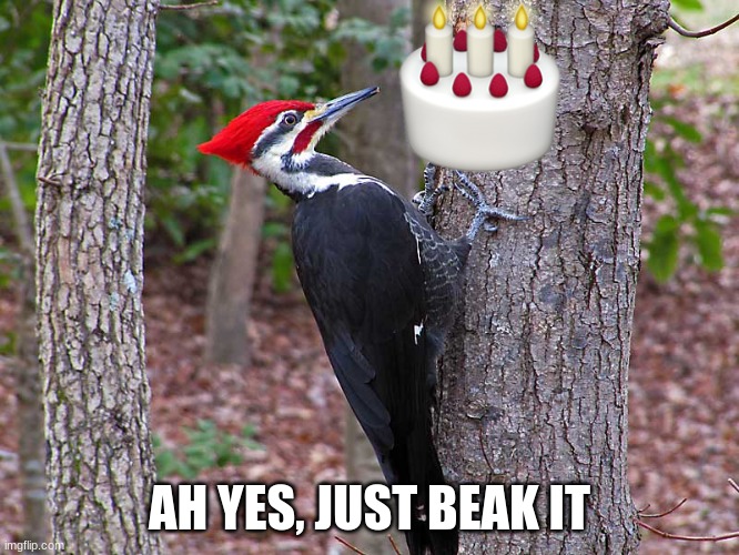 Woodpecker | AH YES, JUST BEAK IT | image tagged in woodpecker | made w/ Imgflip meme maker