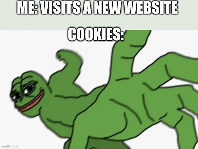 pepe punch | ME: VISITS A NEW WEBSITE; COOKIES: | image tagged in pepe punch | made w/ Imgflip meme maker