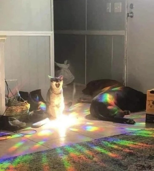 HE SUMMONING FR | made w/ Imgflip meme maker