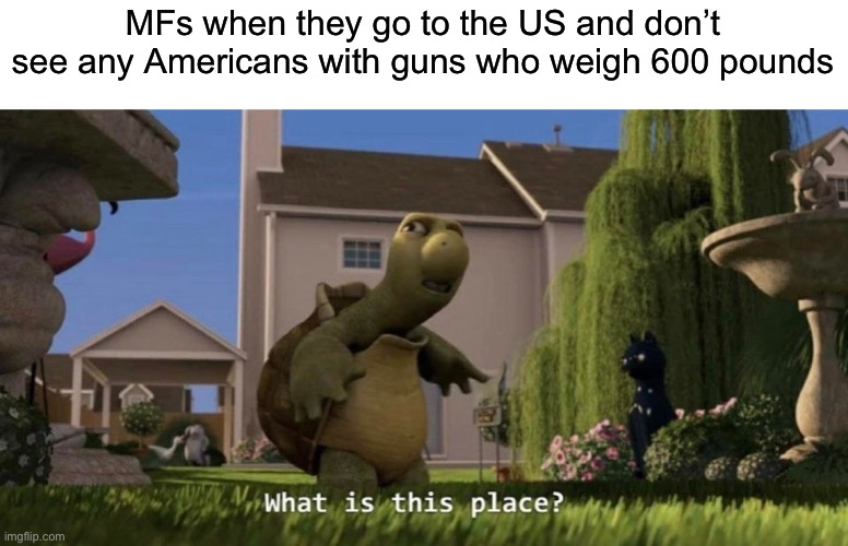 What is this place | MFs when they go to the US and don’t see any Americans with guns who weigh 600 pounds | image tagged in what is this place,america,guns,obese | made w/ Imgflip meme maker