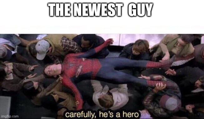 Carefully he's a hero | THE NEWEST  GUY | image tagged in carefully he's a hero | made w/ Imgflip meme maker