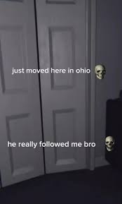ohio Blank Meme Template