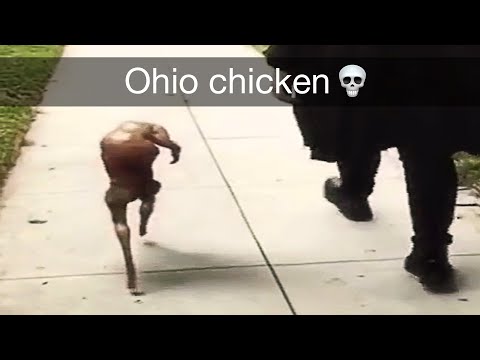 ohio Blank Meme Template