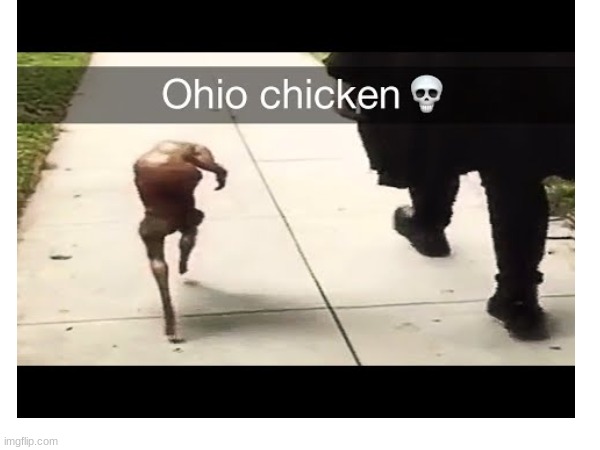 Even Chicken is built different in ohio | image tagged in ohio | made w/ Imgflip meme maker