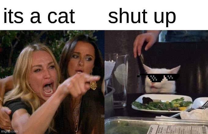 Woman Yelling At Cat Meme | its a cat; shut up | image tagged in memes,woman yelling at cat | made w/ Imgflip meme maker