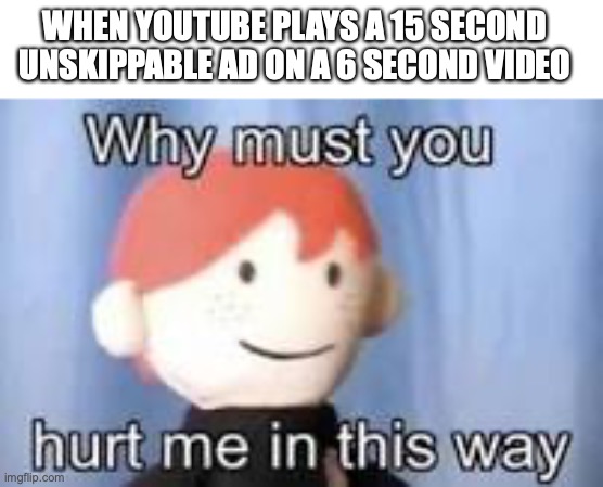 this makes me angy | WHEN YOUTUBE PLAYS A 15 SECOND UNSKIPPABLE AD ON A 6 SECOND VIDEO | image tagged in why must you hurt me in this way,youtube,memes,funny | made w/ Imgflip meme maker