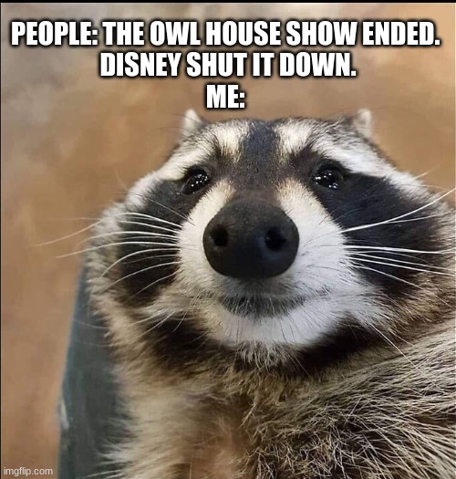 racoon | PEOPLE: THE OWL HOUSE SHOW ENDED. 
DISNEY SHUT IT DOWN.

ME: | image tagged in the owl house | made w/ Imgflip meme maker