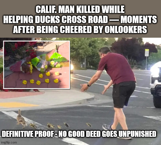 CALIF. MAN KILLED WHILE HELPING DUCKS CROSS ROAD — MOMENTS AFTER BEING CHEERED BY ONLOOKERS; DEFINITIVE PROOF - NO GOOD DEED GOES UNPUNISHED | image tagged in good deeds,too soon | made w/ Imgflip meme maker