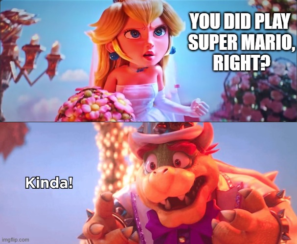 When you never played | YOU DID PLAY 
SUPER MARIO,
RIGHT? | image tagged in kinda | made w/ Imgflip meme maker