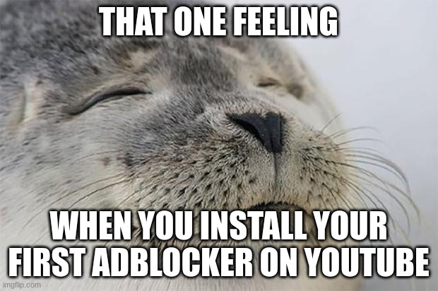 Adblockers are god | THAT ONE FEELING; WHEN YOU INSTALL YOUR FIRST ADBLOCKER ON YOUTUBE | image tagged in memes,satisfied seal | made w/ Imgflip meme maker