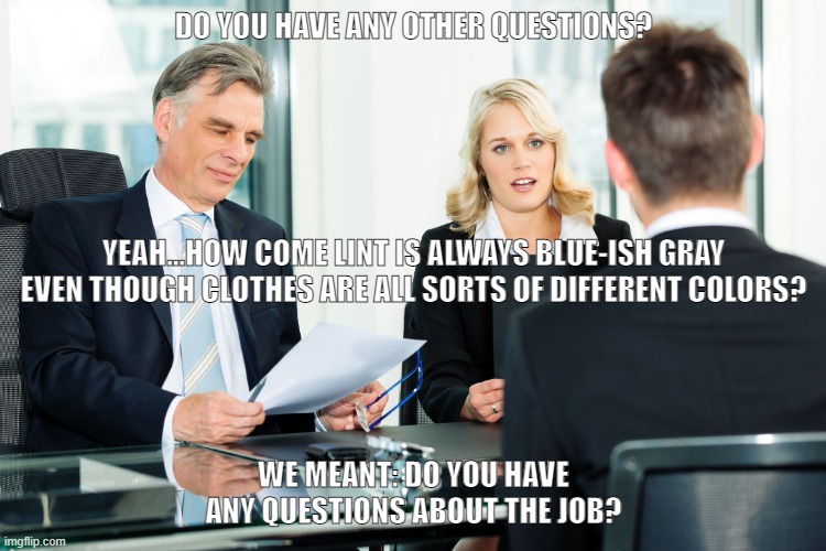 Job interview lint | DO YOU HAVE ANY OTHER QUESTIONS? YEAH...HOW COME LINT IS ALWAYS BLUE-ISH GRAY EVEN THOUGH CLOTHES ARE ALL SORTS OF DIFFERENT COLORS? WE MEANT: DO YOU HAVE ANY QUESTIONS ABOUT THE JOB? | image tagged in job interview | made w/ Imgflip meme maker