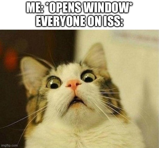 … | ME: *OPENS WINDOW*
EVERYONE ON ISS: | image tagged in memes,scared cat,outer space | made w/ Imgflip meme maker