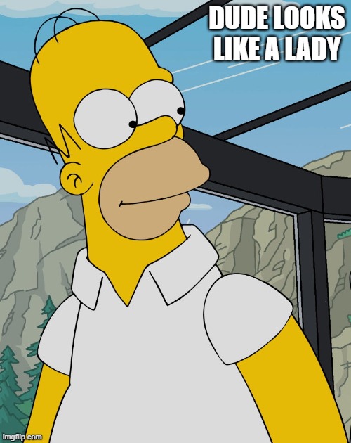 homer | DUDE LOOKS LIKE A LADY | image tagged in homer | made w/ Imgflip meme maker