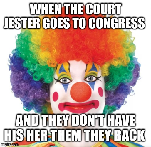 Congressman | WHEN THE COURT JESTER GOES TO CONGRESS; AND THEY DON'T HAVE HIS HER THEM THEY BACK | image tagged in congress | made w/ Imgflip meme maker