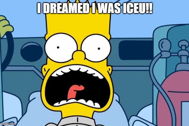 bart | I DREAMED I WAS ICEU!! | image tagged in bart | made w/ Imgflip meme maker