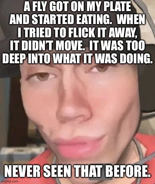 Irl scout | A FLY GOT ON MY PLATE AND STARTED EATING.  WHEN I TRIED TO FLICK IT AWAY, IT DIDN’T MOVE.  IT WAS TOO
DEEP INTO WHAT IT WAS DOING. NEVER SEEN THAT BEFORE. | image tagged in irl scout | made w/ Imgflip meme maker