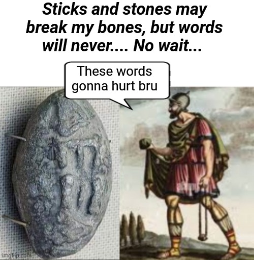 Roman Slingshot | Sticks and stones may break my bones, but words will never.... No wait... These words gonna hurt bru | image tagged in slingblade,roman empire,words,funny memes | made w/ Imgflip meme maker