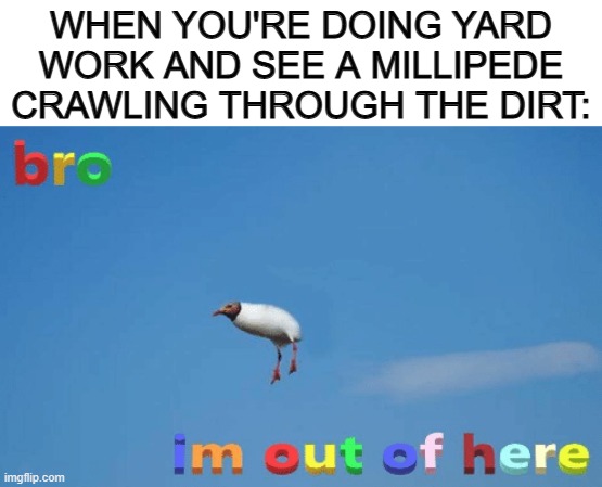 Any creepy crawly near me is a red flag :[] | WHEN YOU'RE DOING YARD WORK AND SEE A MILLIPEDE CRAWLING THROUGH THE DIRT: | image tagged in bro im out of here | made w/ Imgflip meme maker