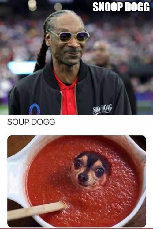 snoop dogg | image tagged in snoop dogg,soup dogg,kewlew | made w/ Imgflip meme maker