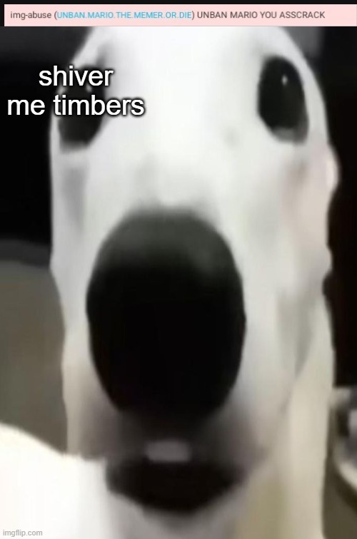 lmao when did i make this | shiver me timbers | made w/ Imgflip meme maker