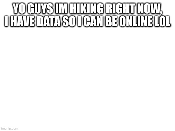 well its just a forest not a hill | YO GUYS IM HIKING RIGHT NOW, I HAVE DATA SO I CAN BE ONLINE LOL | made w/ Imgflip meme maker