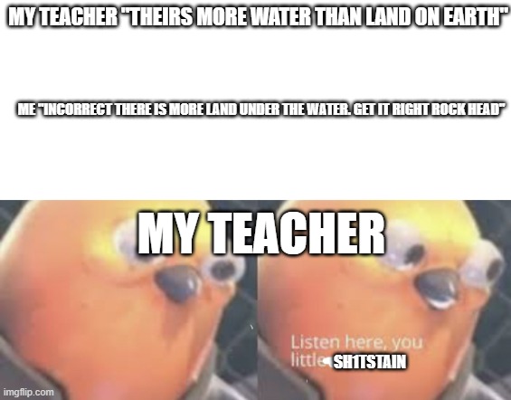 Listen here you little shit bird | MY TEACHER "THEIRS MORE WATER THAN LAND ON EARTH"; ME "INCORRECT THERE IS MORE LAND UNDER THE WATER. GET IT RIGHT ROCK HEAD"; MY TEACHER; SH1TSTAIN | image tagged in listen here you little shit bird | made w/ Imgflip meme maker