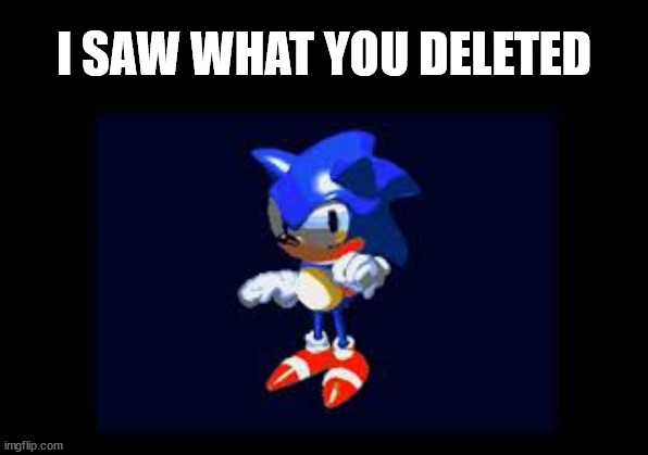 Prototype Sonic | I SAW WHAT YOU DELETED | image tagged in prototype sonic | made w/ Imgflip meme maker