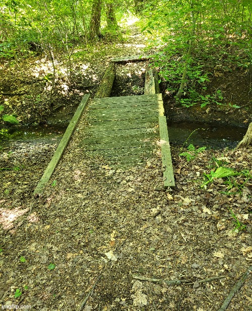 bruh this trail is unmaintained | made w/ Imgflip meme maker