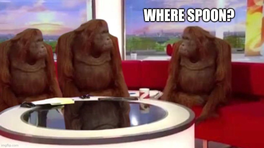 orangutan interview | WHERE SPOON? | image tagged in orangutan interview | made w/ Imgflip meme maker