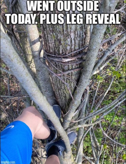 I really think I'm lordreaperus ? | made w/ Imgflip meme maker