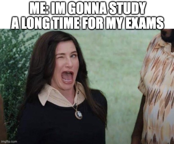 Wink | ME: IM GONNA STUDY A LONG TIME FOR MY EXAMS | image tagged in agatha wink,studying,exams | made w/ Imgflip meme maker