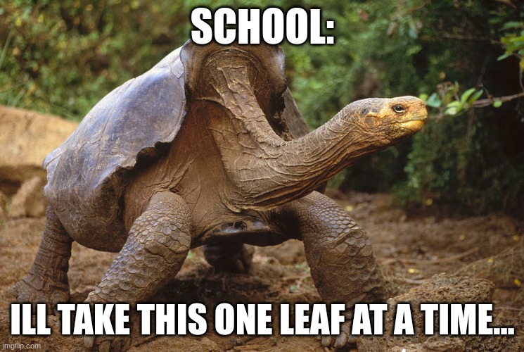 HEHE | SCHOOL:; ILL TAKE THIS ONE LEAF AT A TIME... | made w/ Imgflip meme maker