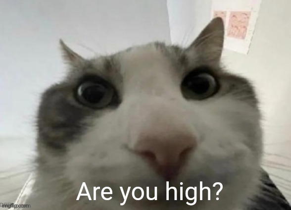 Are you tho? | image tagged in are you high | made w/ Imgflip meme maker