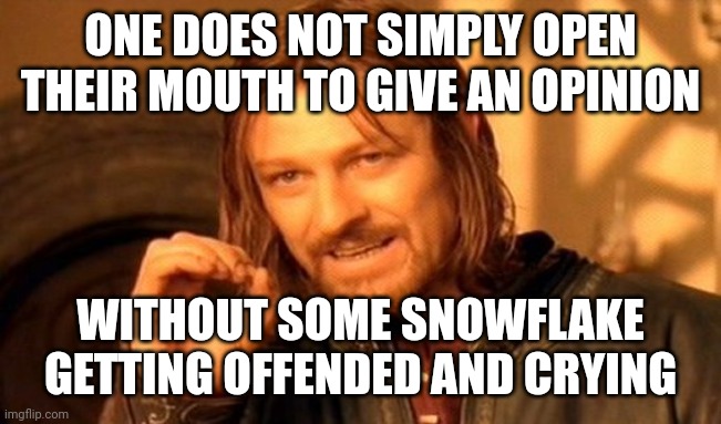 One Does Not Simply | ONE DOES NOT SIMPLY OPEN THEIR MOUTH TO GIVE AN OPINION; WITHOUT SOME SNOWFLAKE GETTING OFFENDED AND CRYING | image tagged in memes,one does not simply | made w/ Imgflip meme maker