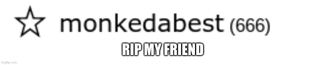 RIP MY FRIEND | image tagged in rip | made w/ Imgflip meme maker