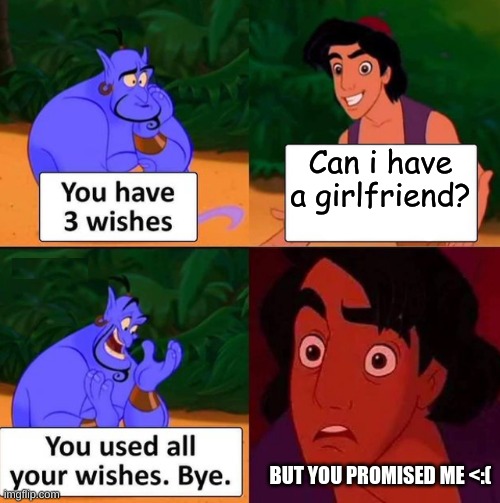 Lol | Can i have a girlfriend? BUT YOU PROMISED ME <:( | image tagged in you used all your wishes | made w/ Imgflip meme maker
