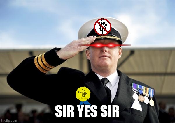 Salute | SIR YES SIR | image tagged in salute | made w/ Imgflip meme maker