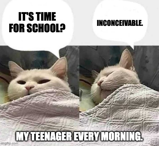 cat sleeping | IT'S TIME FOR SCHOOL? INCONCEIVABLE. MY TEENAGER EVERY MORNING. | image tagged in cat sleeping | made w/ Imgflip meme maker