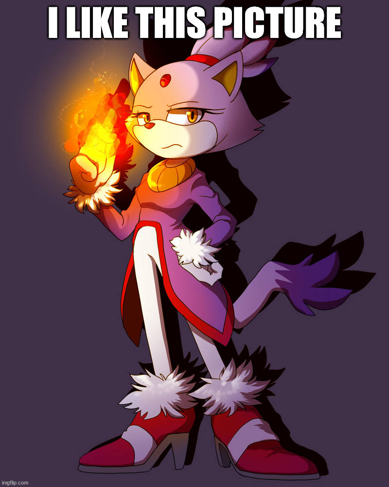 Blaze | I LIKE THIS PICTURE | image tagged in blaze | made w/ Imgflip meme maker