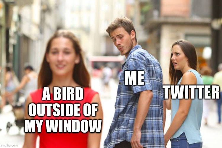 Distracted Boyfriend | ME; A BIRD OUTSIDE OF MY WINDOW; TWITTER | image tagged in memes,distracted boyfriend,bird,real life,twitter | made w/ Imgflip meme maker
