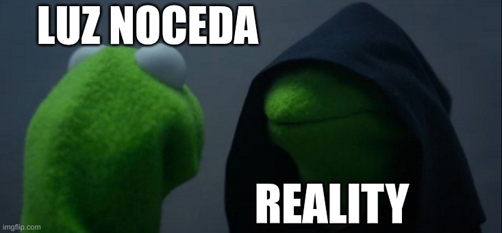 Evil Kermit | LUZ NOCEDA; REALITY | image tagged in memes,evil kermit | made w/ Imgflip meme maker