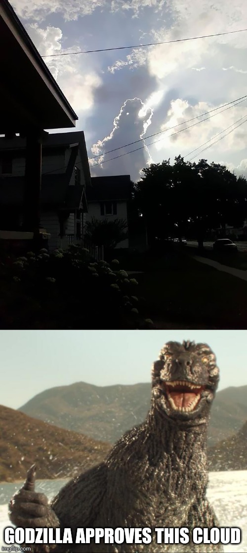 Godzilla | GODZILLA APPROVES THIS CLOUD | image tagged in godzilla approved,godzilla,cloud,clouds,memes,meme | made w/ Imgflip meme maker