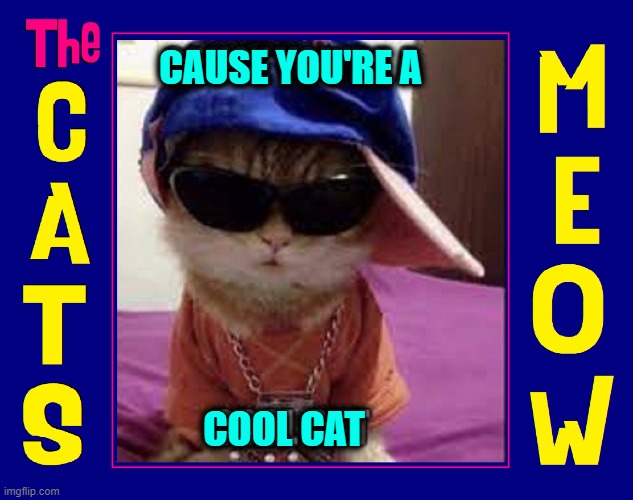 Putting the ME in MEOW! | CAUSE YOU'RE A; COOL CAT | image tagged in vince vance,cats,funny cat memes,meow,i love cats,cool cat | made w/ Imgflip meme maker